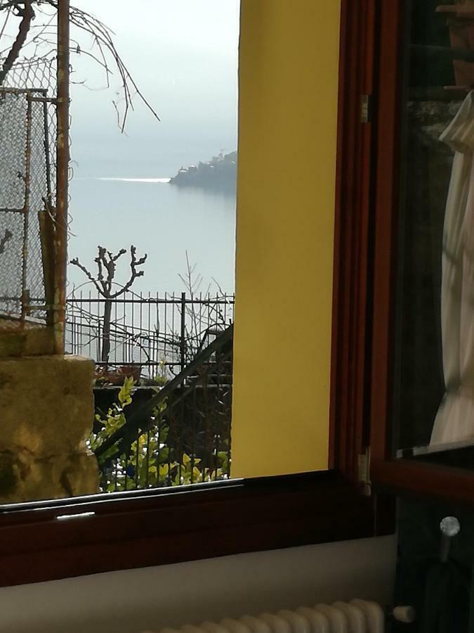 内索Balcone Dei Limoni公寓 外观 照片